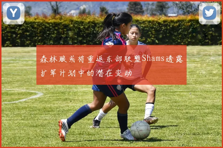 森林狼或将重返东部联盟Shams透露扩军计划中的潜在变动