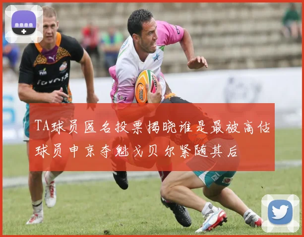 TA球员匿名投票揭晓谁是最被高估球员申京夺魁戈贝尔紧随其后